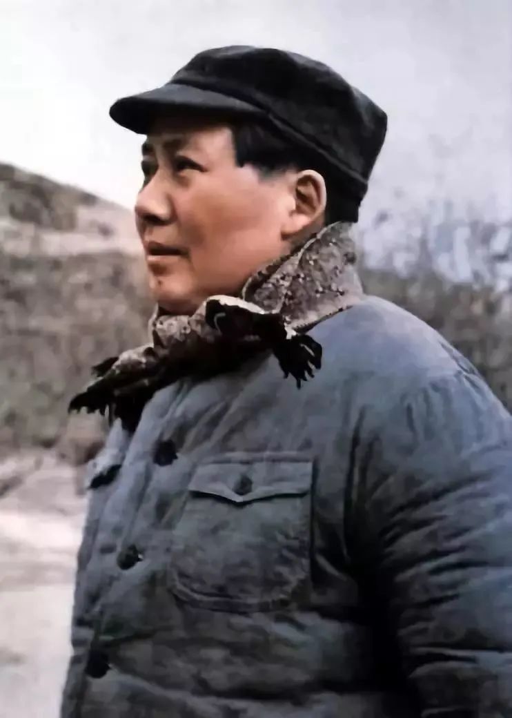 毛5.jpg